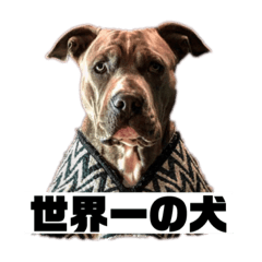Lineスタンプ 世界一の犬ジェイソン 16種類 1円