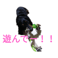 犬モナカ集 Lineスタンプ