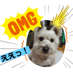 Lineスタンプ 犬の気持ちピース ケンケン 8種類 1円