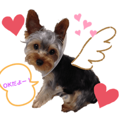 Lineスタンプ なかよしかぞく 子供時々犬 8種類 1円